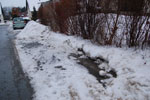 2010-01-18_17-27-33_DSC_4187.jpg