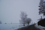 2010-01-21_11-58-10_DSC_4215.jpg