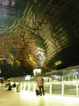 2010-01-22_17-53-46_IMGP2458.jpg