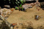 2010-01-29_11-40-24_DSC_4291.jpg