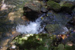 2010-01-29_12-00-03_DSC_4345.jpg
