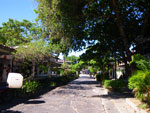 2010-02-01_16-00-26_IMGP3291.jpg