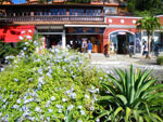 2010-02-01_16-55-06_IMGP3349.jpg