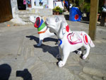 2010-02-01_16-58-36_IMGP3355.jpg