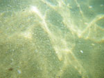 2010-02-01_17-54-01_IMGP3390.jpg