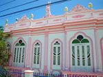 2010-02-05_12-19-15_IMGP3634.jpg