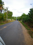 2010-02-07_16-50-26_IMGP3907.jpg