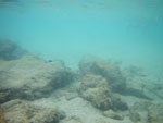 2010-02-08_16-48-30_IMGP3951.jpg