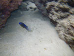 2010-02-08_16-54-11_IMGP3961.jpg