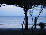 2010-02-17_19-37-20_IMGP4788.jpg