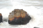 2010-02-19_18-44-05_DSC_4657.jpg