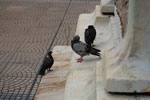 2010-02-22_16-59-13_DSC_4909.jpg