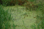 2010-02-22_16-59-46_DSC_4912.jpg