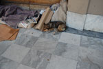 2010-02-23_16-11-04_DSC_5007.jpg