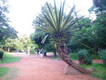 2010-02-26_18-08-42_IMGP5103.jpg