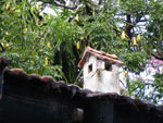 2010-02-26_18-38-46_IMGP5120.jpg