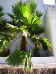 2010-03-01_19-30-38_IMGP5251.jpg