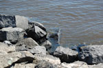 2010-03-02_16-28-27_DSC_5100.jpg