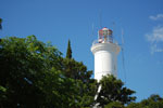 Photos