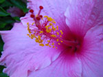 2010-03-07_19-54-43_IMGP5892.jpg