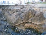 2010-03-07_20-04-27_IMGP5927.jpg