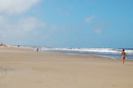 2010-03-08_14-45-00_DSC_5413.jpg