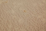2010-03-08_14-45-06_DSC_5414.jpg