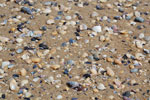 2010-03-08_14-47-38_DSC_5433.jpg