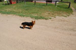 2010-03-10_15-26-16_DSC_5571.jpg