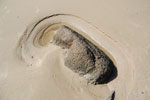2010-03-10_15-54-47_DSC_5741.jpg