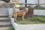 2010-03-10_16-23-01_DSC_5933.jpg