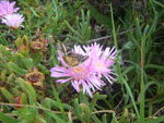 2010-03-11_16-00-34_IMGP6292.jpg