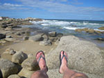 Photos