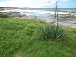 2010-03-11_16-43-40_IMGP6349.jpg