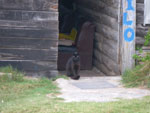 2010-03-11_19-29-02_IMGP6357.jpg