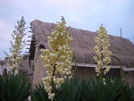 2010-03-11_19-36-17_IMGP6367.jpg