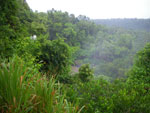 2010-03-14_10-24-32_IMGP6539.jpg