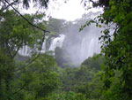 2010-03-14_10-25-57_IMGP6542.jpg