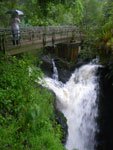 2010-03-14_11-26-34_IMGP6595.jpg