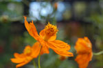 2010-03-15_13-33-25_DSC_6027.jpg