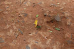 2010-03-15_14-17-08_DSC_6074.jpg