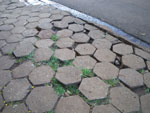 2010-03-15_18-22-20_IMGP6751.jpg