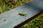 2010-03-16_12-52-10_DSC_6131.jpg