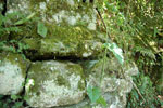 2010-03-16_13-09-47_DSC_6178.jpg