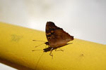 2010-03-16_13-34-54_DSC_6300.jpg