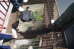 2010-03-16_13-41-29_DSC_6308.jpg