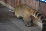 2010-03-16_13-56-44_DSC_6321.jpg