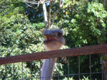 2010-03-16_14-47-40_IMGP6812.jpg