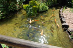 2010-03-16_14-48-44_DSC_6327.jpg