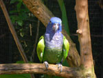 2010-03-16_14-54-08_IMGP6815.jpg